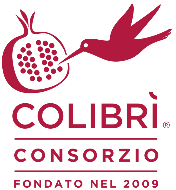 colibri-logo-colore
